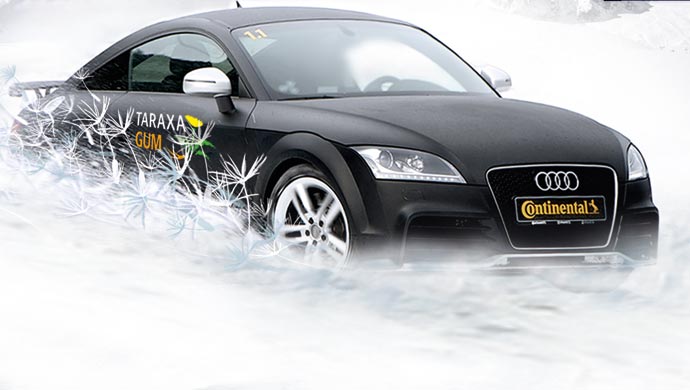 Winter tyres from Dandelion