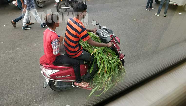 Honda leads in 2 wheeler sales; Ola emerges leader in e-2wheelers: FADA