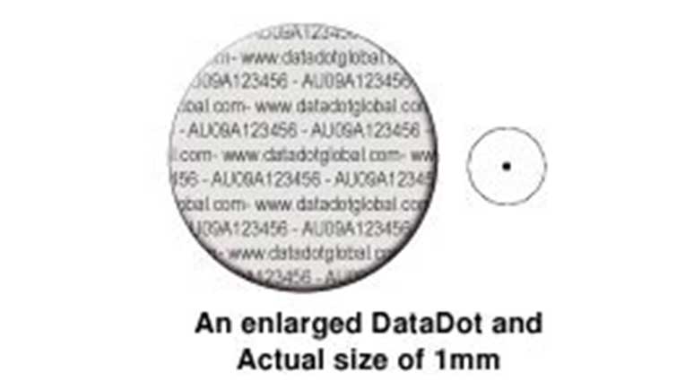Dots of significance 