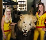 Automechanika Johannesburg to kick off in May’13