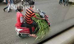 Honda leads in 2 wheeler sales; Ola emerges leader in e-2wheelers: FADA