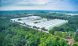 Stellantis assumes full ownership of CK Birla Thiruvallur plant