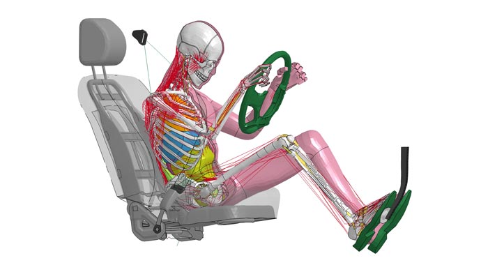 Toyota dummies