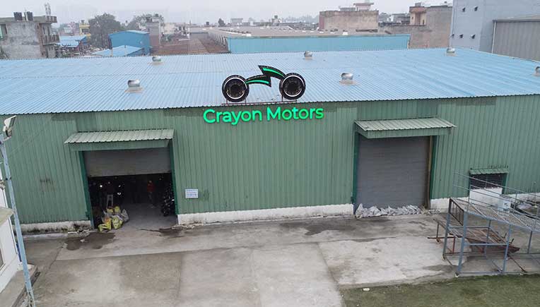Crayon plant