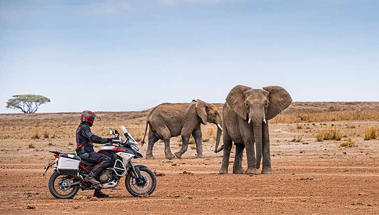 MULTISTRADA V4 RALLY