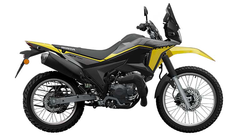 Honda XR300 Rally 