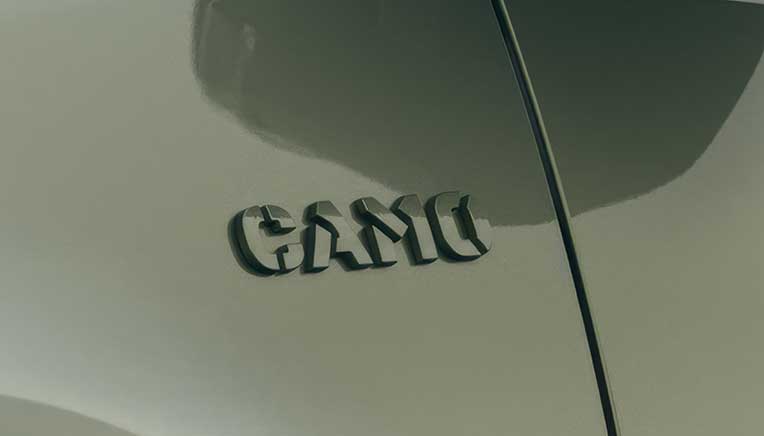 Camo badging