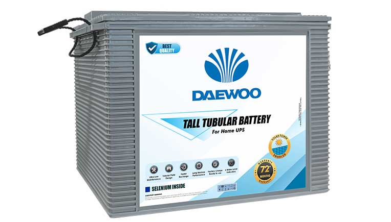 Inverter battery