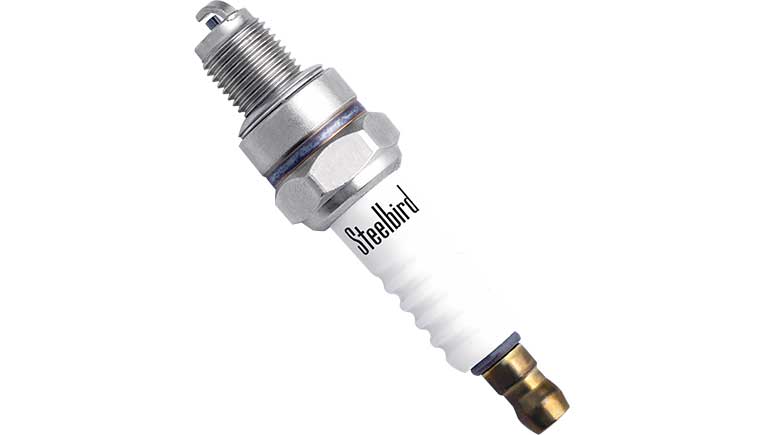 Steelbird to launch Hella horns, spark plugs