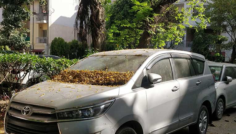 Tools that ensure your vehicle is not knocked down post lockdown
