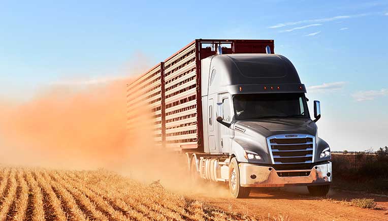 Daimler new Freightliner Cascadia now in Australia, New Zealand