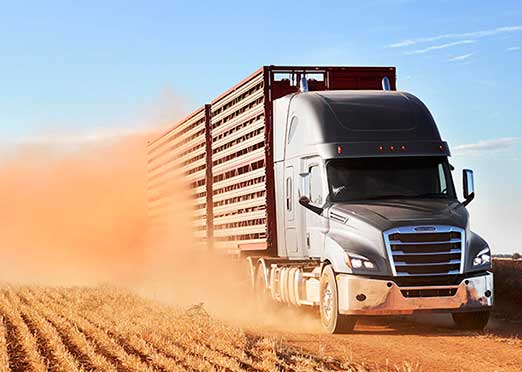 Daimler new Freightliner Cascadia now in Australia, New Zealand