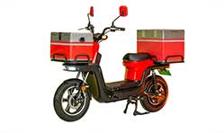 Evtric Motors unveils B2B electric delivery scooter at EV Expo2021