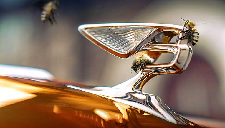 Introducing Bentley’s new flying bees