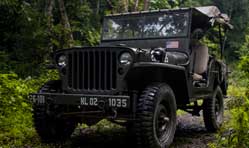 TRIBUTE TO THE JEEP Go Devil, Go...