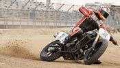 New Harley Street 750 stars in US race.